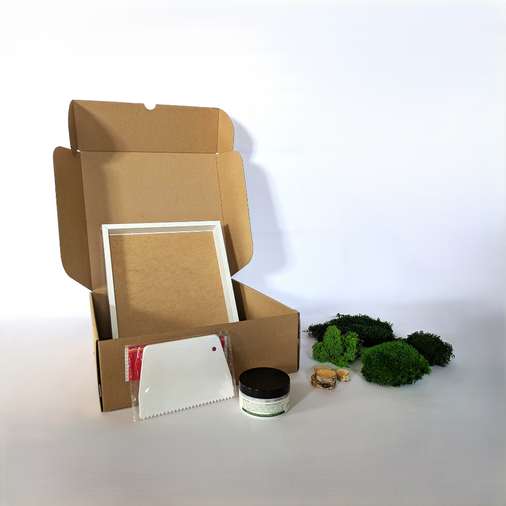 kit do it yourself, tableau vegetal, mur végétal, décoration intérieure, mousse végétale stabilisée, décoration naturelle, DIY