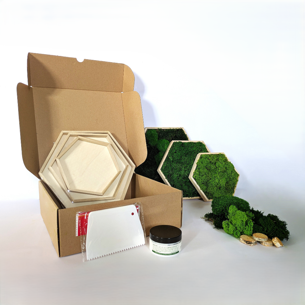kit do it yourself, tableau vegetal, mur végétal, décoration intérieure, mousse végétale stabilisée, décoration naturelle, DIY