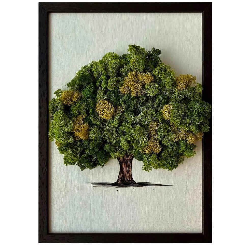 Lichen de renne stabilise - se colle sur tous types de supports pour donner un effect naturel