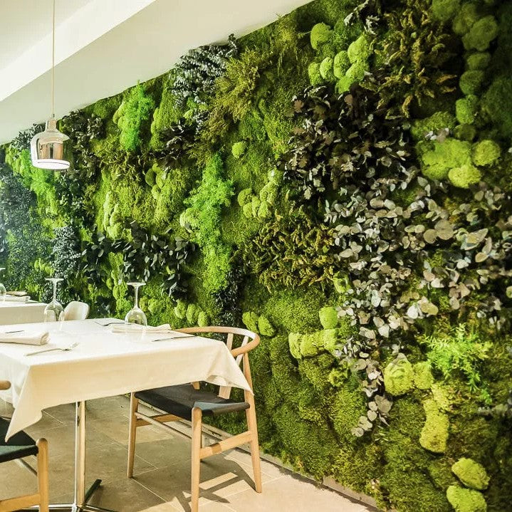 Mur vegetal stabilise pour un interieur moderne et naturel ajouter une touche de verdure a votre interieur