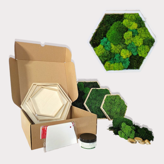 Kit DIY Tableau Végétal Stabilisé