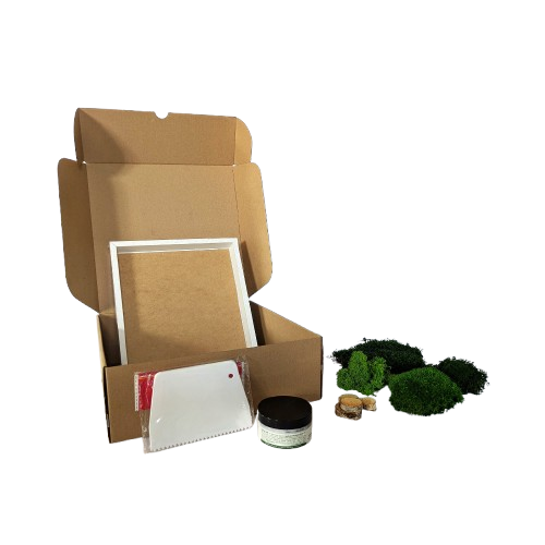 kit diy mousse végétale stabilisée mousse plate lichen de renne 